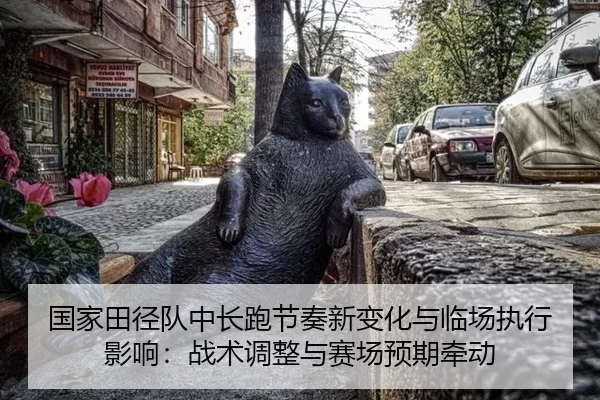 国家田径队中长跑节奏新变化与临场执行影响：战术调整与赛场预期牵动